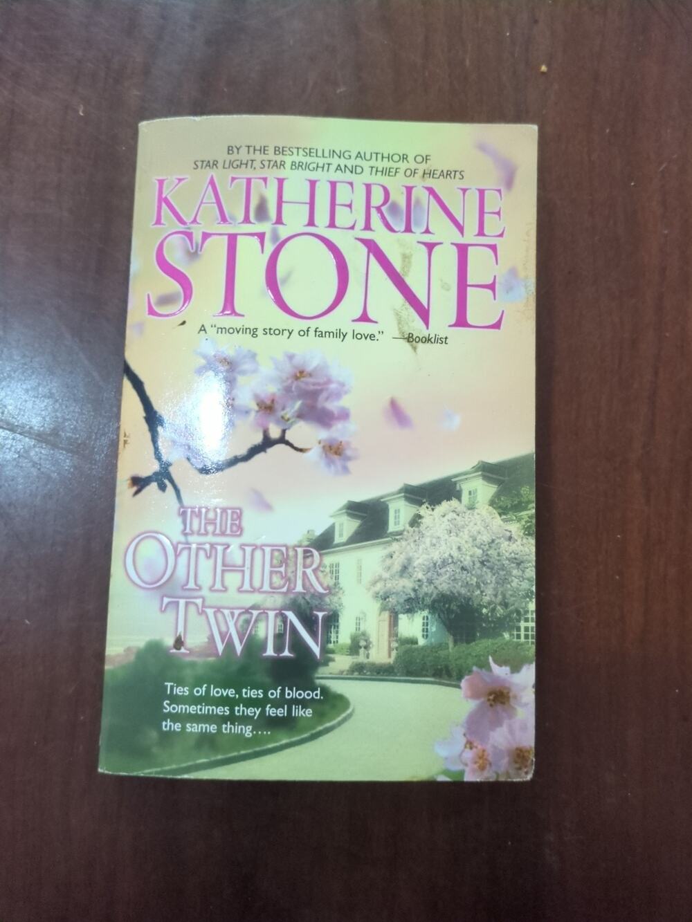 The Other Twin by Katherine Stone